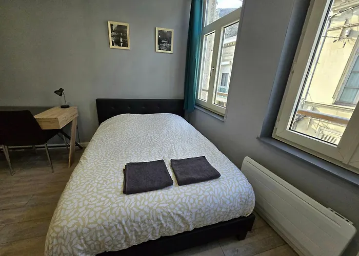 Appartement Hypercentre 301 +Wifi+Independant+ Cuisine Toilette Salle De Bain Privative